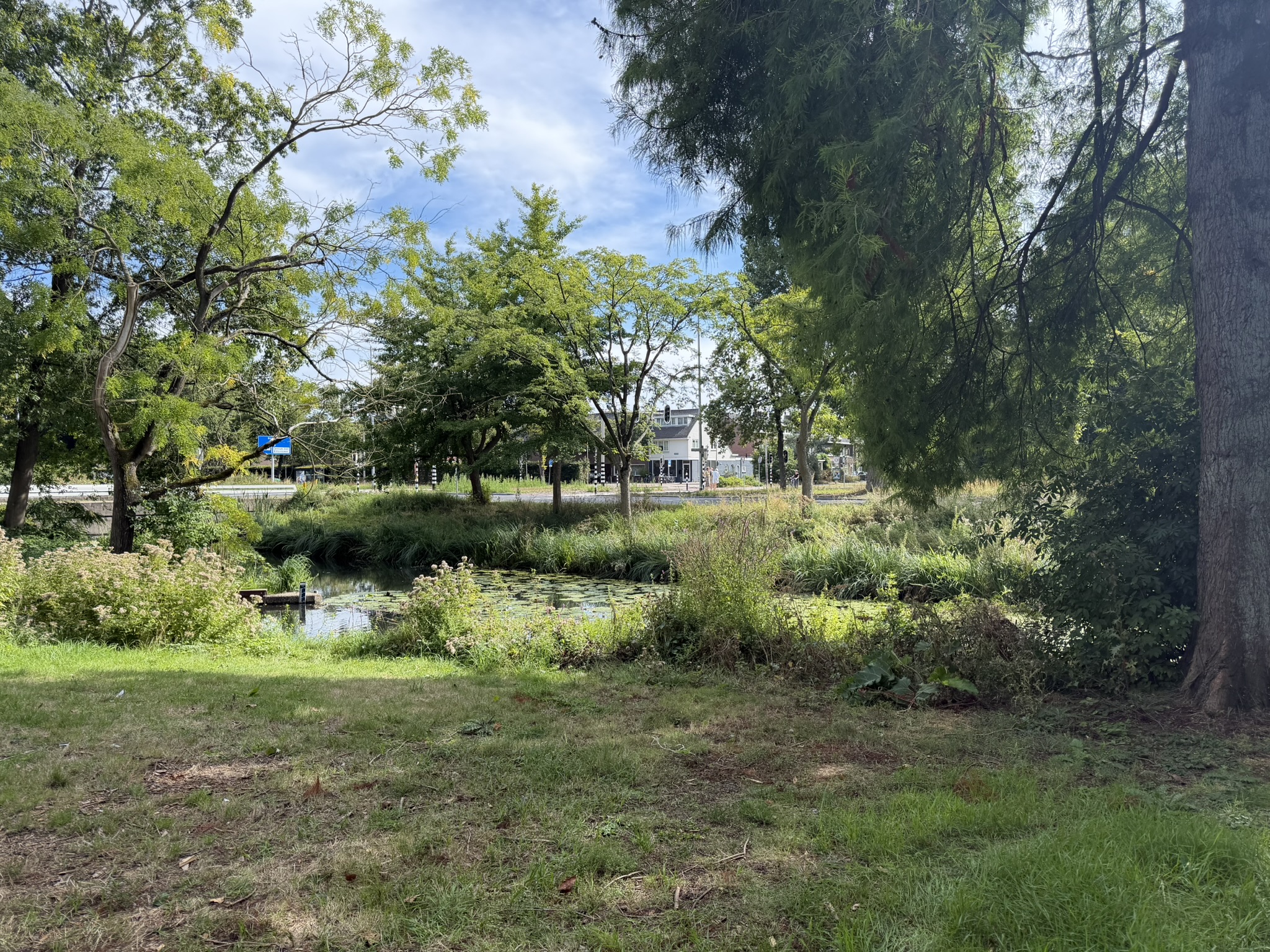 Wonen in Tuindorp & Tuindorp Oost