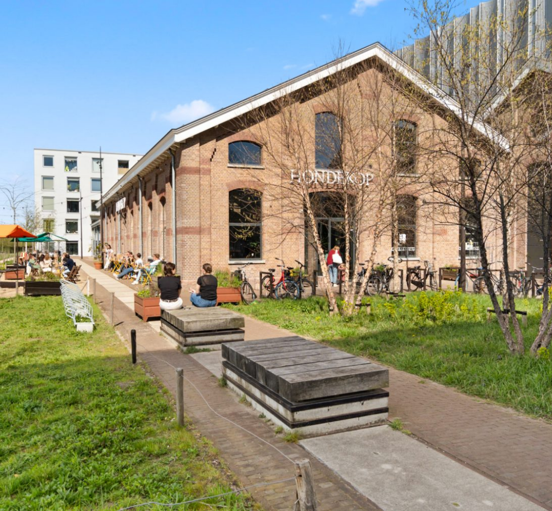 Wonen in de 2e Daalsebuurt