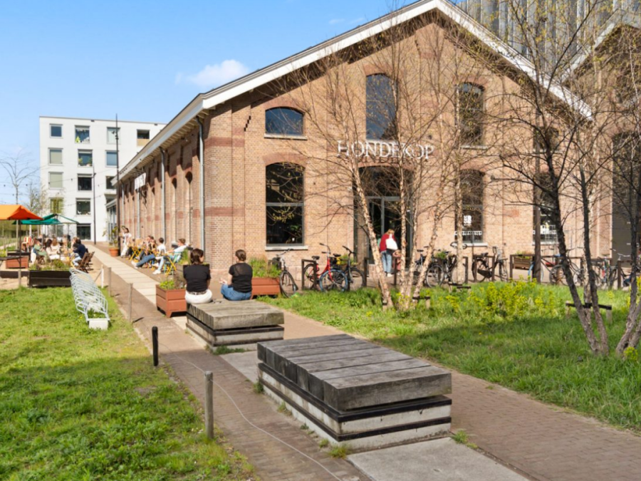 Wonen in de 2e Daalsebuurt