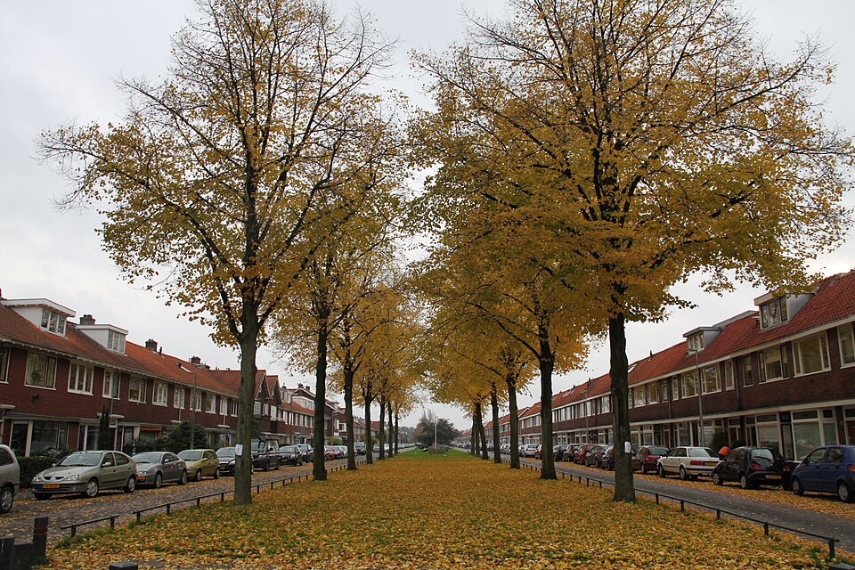 Wonen in Hoograven