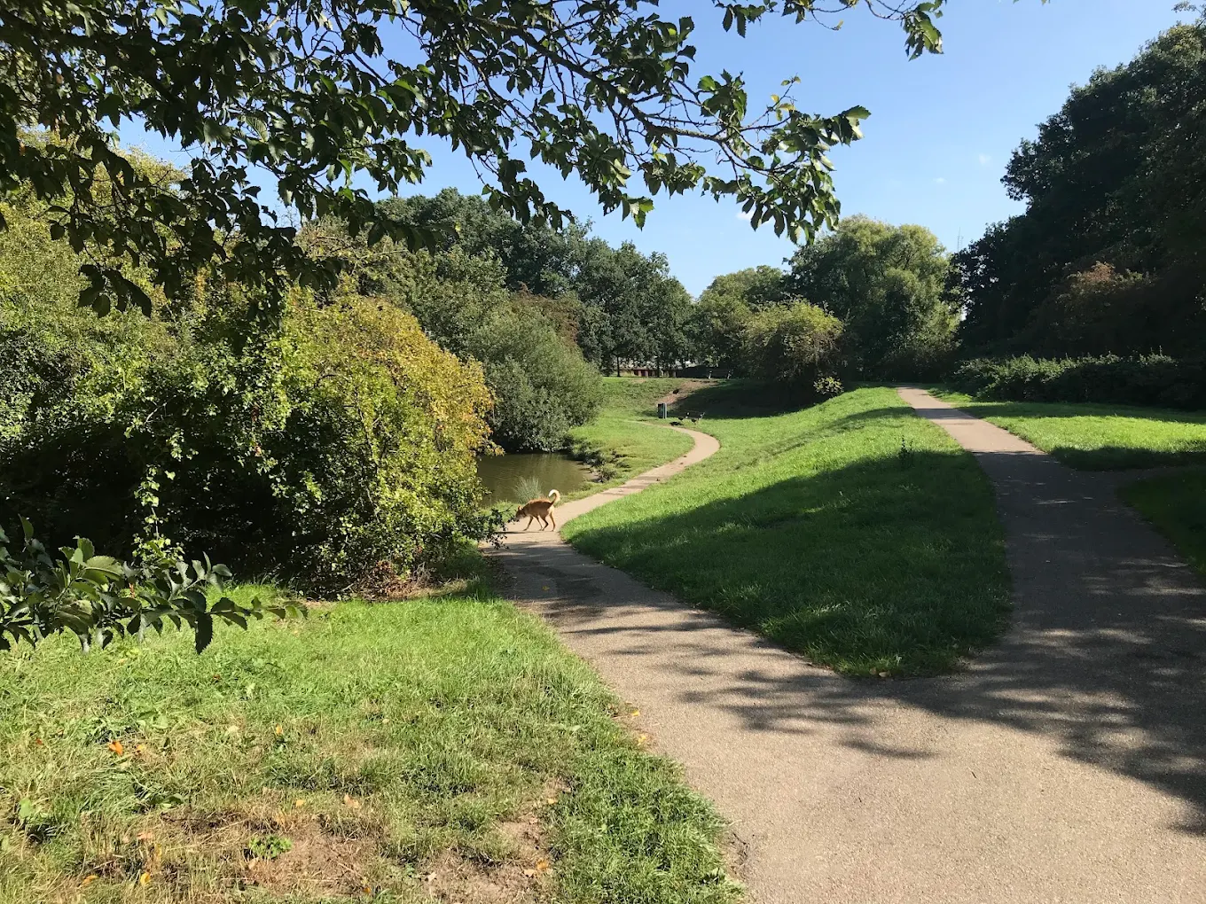 Living in Lunetten