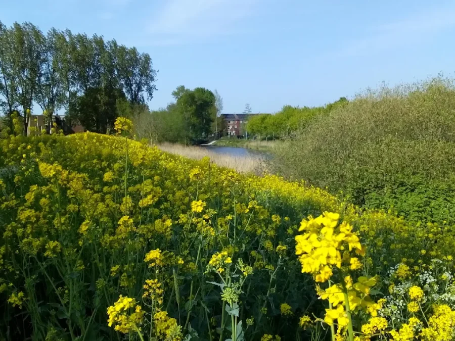 Living in Lunetten