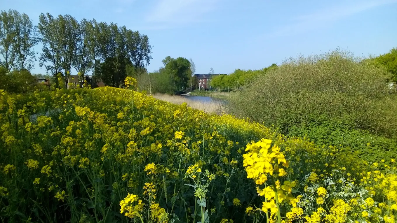 Living in Lunetten